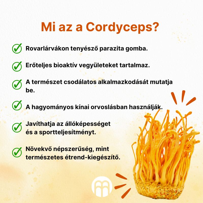 (Maďarština) Co je Cordyceps